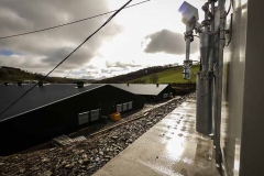 novalux-chp-poultry-shed