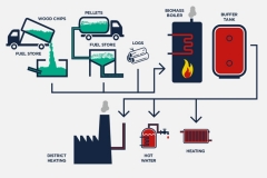 how-biomass-works