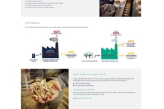 chp-efficient-energy