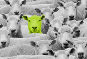 Green Sheep LimeGreen Marketing