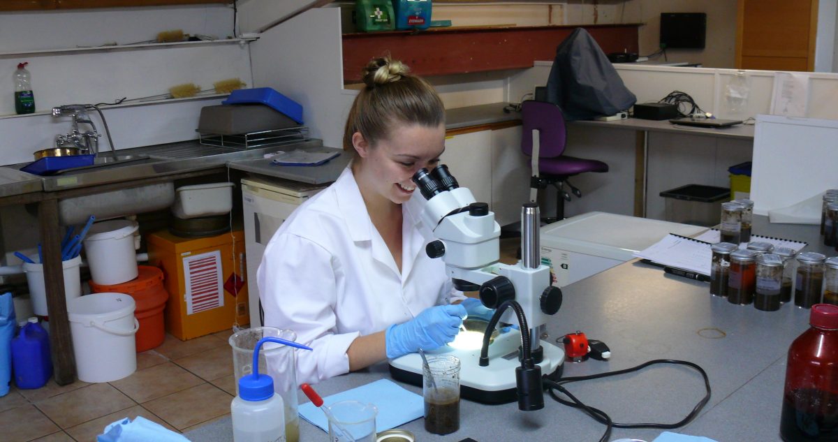 Ridgeway Research