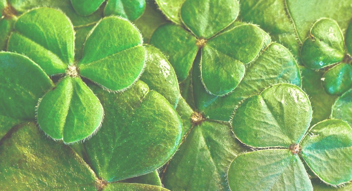 Utilising National Holidays in your Strategy