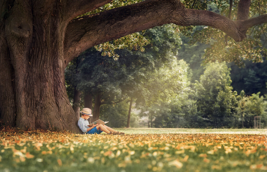 Talk Education boy reading under tree