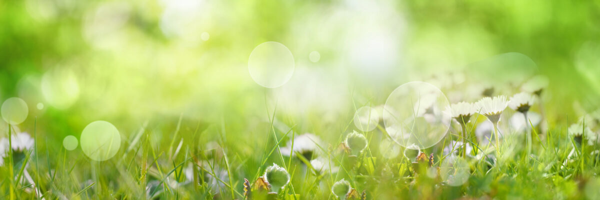 How to Spring Clean Your Business Ready for Post Lockdown