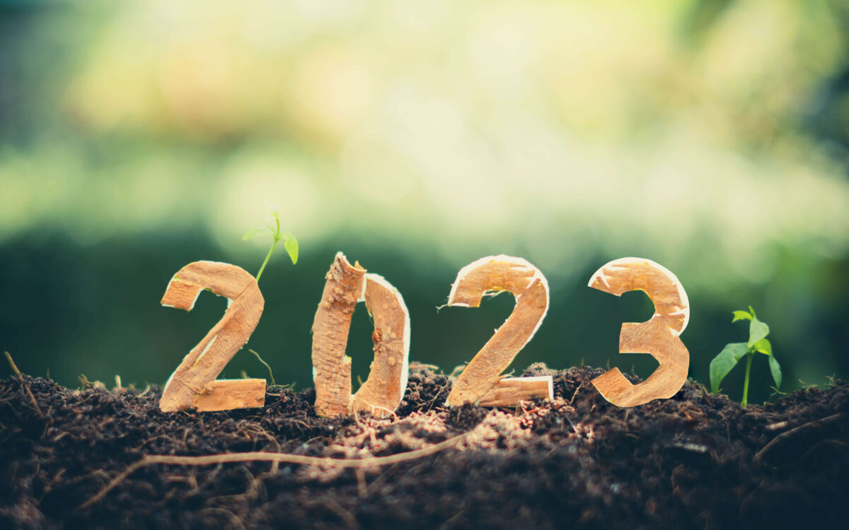 5 Ways to Step Up Your Marketing in 2023