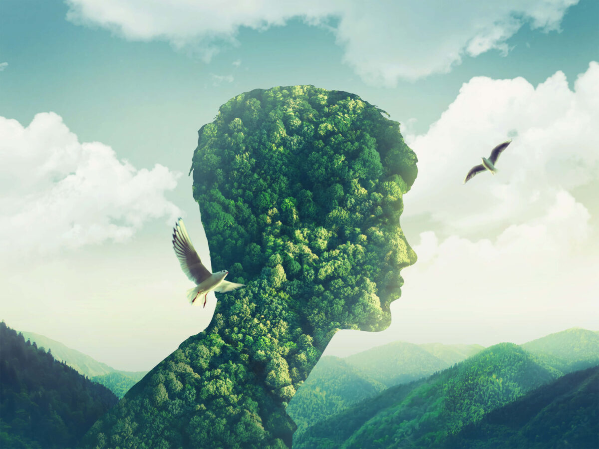Energise Your Business With Fresh Thinking in 2023