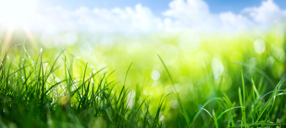 Six Sizzling Summertime Marketing Ideas to Grow your Business