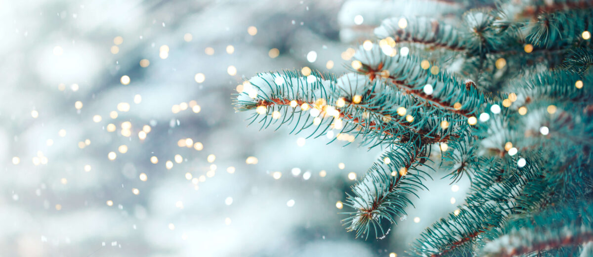 5 Fun and Festive Marketing Ideas For Your Small Business