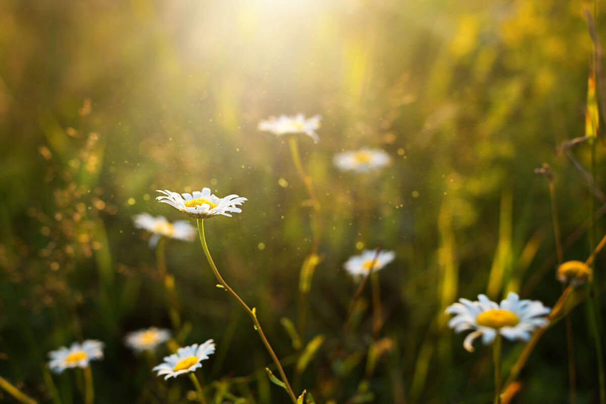 3 Ways to Build Brand Authenticity